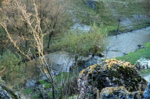 Река Драгиште в ущелье Тринка