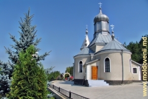 Mănăstirea Cosăuți