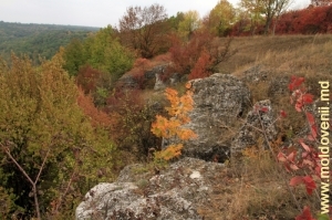 Склон ущелья, вид в направлении села Вережень