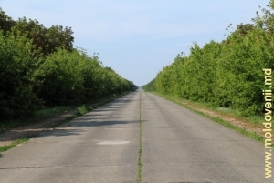 Şoseua Chişinău- Bălţi