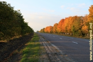 Осенняя трасса Бэлць-Кишинэу на закате
