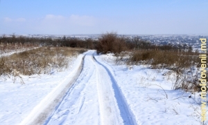 Зимняя дорога в Криулянском районе