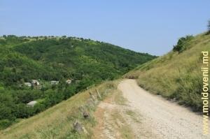 Drum spre Naslavcea, Ocniţa