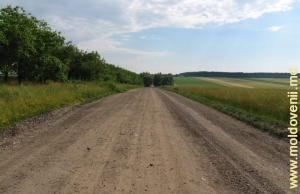 Drumul de lîngă satul Cremenciug, Soroca