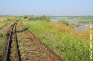 Железная дорога над поймой Прута у Леова