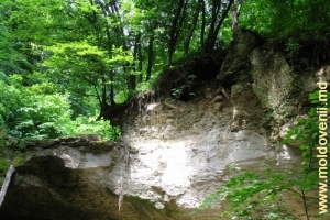 Partea de sus a cascadei secate din pădurea din preajma mănăstirii Rudi, Soroca