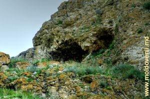 Пещера в верхней части толтрового рифа у села Хородище, Рышкань
