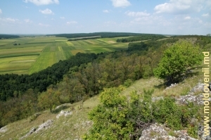 Вид на поля и лес с левого склона ущелья Борта Чунтулуй