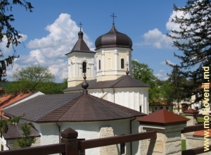 Vedere spre Mănăstirea Căpriana de sus, dinspre biserica veche