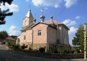 Biserica Mănăstirii Suruceni, plan îndepărtat