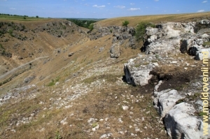 Ущелье Тринка с вершины левого склона
