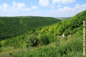 Partea dreaptă a defileului de lîngă satul Tătărăuca Veche
