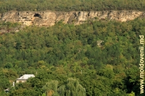 Panta Defileului din Rezervaţia Raşcov. Se poate vedea „Podul Dracului” şi „Degetul Dracului
