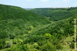 Partea de mijloc a defileului de lîngă satul Tătărăuca