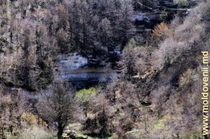 Panta abruptă a defileului de sus de valea rîului Ciorna din preajma satului Glinjeni, Rezina