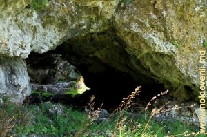 Вид пещеры со стороны ее бокового входа