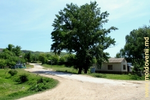 Satul Pruteni, raionul Făleşti