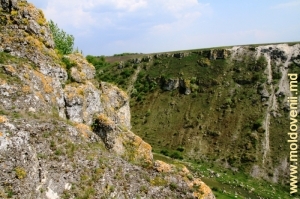 Ущелье Буздужень и долина реки Раковэц, Единецкий район