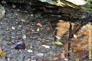 Roci de calcar cu aflorimente de cremene, prin care se prelinge apa izvorului