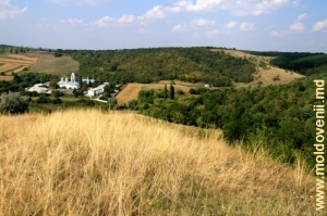 Mănăstirea Dobruşa, Şoldăneşti şi o parte a teritoriului rezervaţiei, septembrie