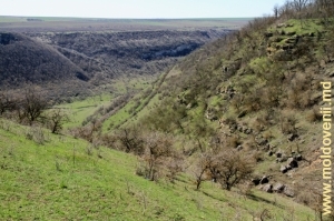 Valea rîului Ciorna din defileul de lîngă satul Mateuţi, Rezina, aprilie 2013