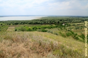 Lacul Beleu din apropierea satului Slobozia Mare, Cahul, iulie