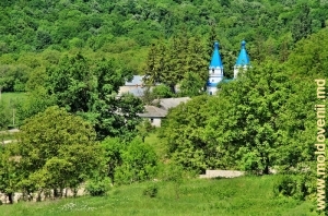 Mănăstirea Țigănești