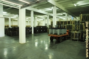 Secţia producţiei finite a Fabricii de Vinuri