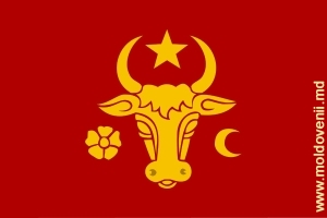 „Steagul cel mare” al Moldovei în perioada domniei lui Ştefan cel Mare