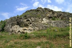 Толтровые скалы над ущельем у села Вэратик