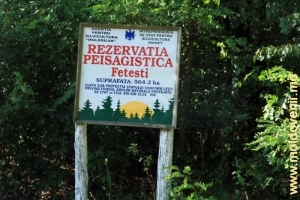 Panoul informaţional de la intrarea în Rezervaţia Feteşti