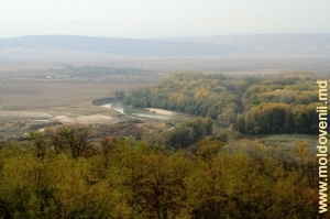 Prutul în raionul Nisporeni