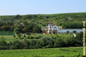 Вид на винзавод Пуркары со стороны села, дальний план