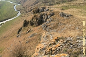 Ущелье Брынзень и долина реки Раковэц, Единецкий район