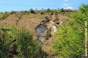 Крутые известняковые склоны с многочисленными оврагами и осыпями у села Слобозия-Вэрэнкэу, Сорока 