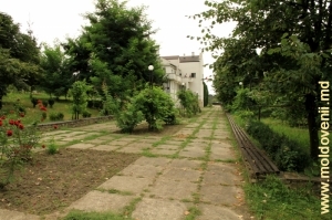 Casa-muzeu Mihai Eminescu de la Ipotești