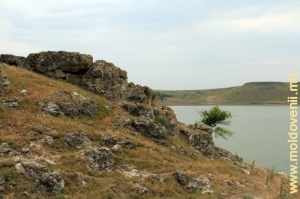 Toltrele de deasupra braţului lacului de acumulare Costeşti de-a lungul albiei r. Ciuhur de lîngă satul Văratic