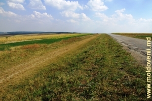 Drum spre Şoldăneşti