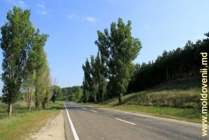 Дорога вблизи города Кантемир