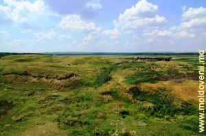 Peisaj de vară în lunca Prutului, raionul Glodeni, iunie