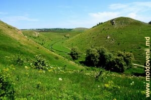 Вид на ущелье Брынзень с правого склона
