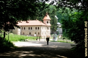 Vedere a mănăstirii Rudi, Soroca din pădure