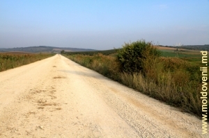 Drum din raionul Teleneşti, toamna