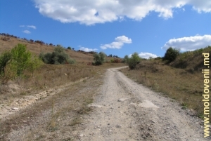 Drumul de după satul Naslavcea, Ocniţa