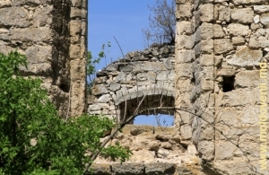 Ruinele sinagogii vechi din Raşcov