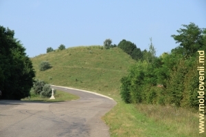 Drumul spre Naslavcea, Ocniţa