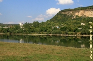 Vedere spre Nistru şi satul Raşcov de pe malul drept al Nistrului
