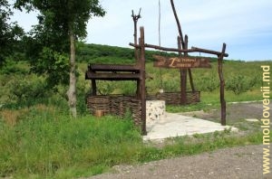 Привал на трассе между селами Дахновичи и Столничень, Хынчешть 