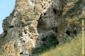 Вид на пещеру в складке рифа у села Хородище, Рышкань