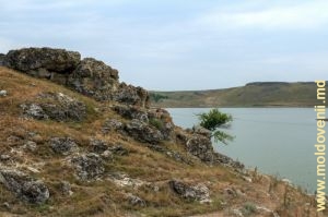 Lanţuri de toltre, sus de braţul Ciuhurului al lacului de acumulare Costeşti, lîngă satul Văratic